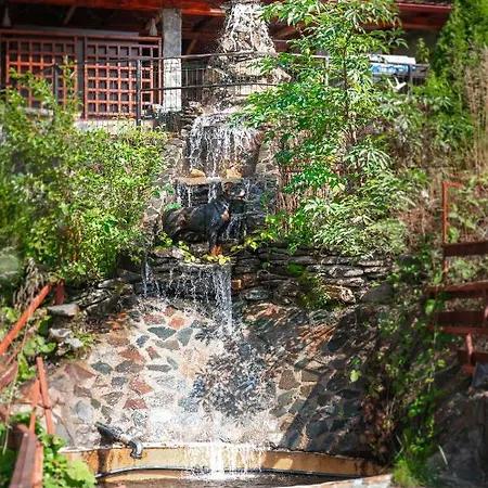Hotel Piscul Negru - Transfagarasan 3*