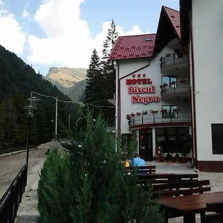 Piscul Negru - Transfagarasan 3*
